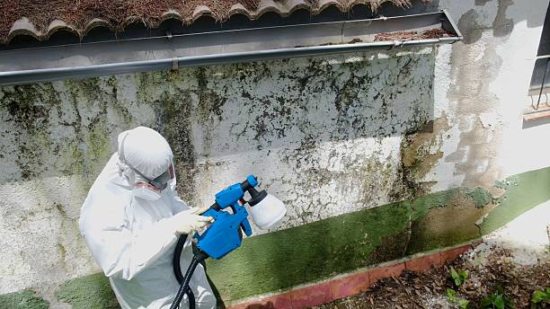 Trusted Bathroom Mold Removal service in Oxford, PA - Cheap Mold Removal